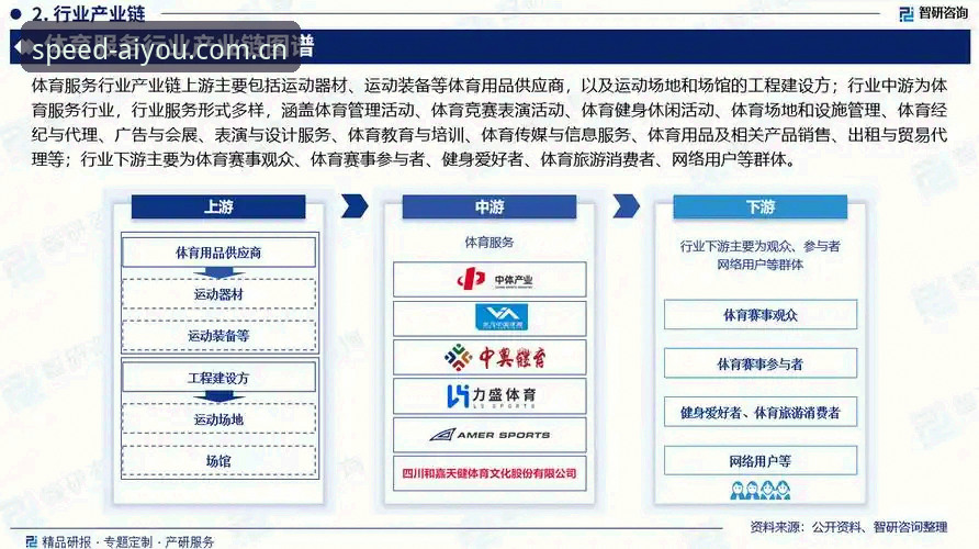 爱游戏体育赛事生态深度分析：从数据驱动到沉浸式体验的行业演进